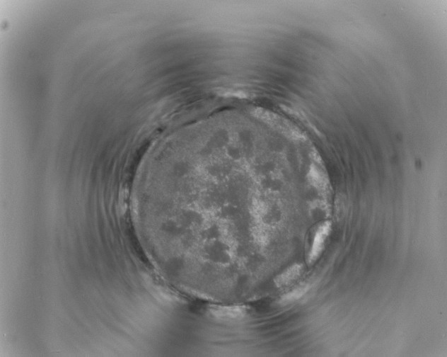 X0000088030671200706011351