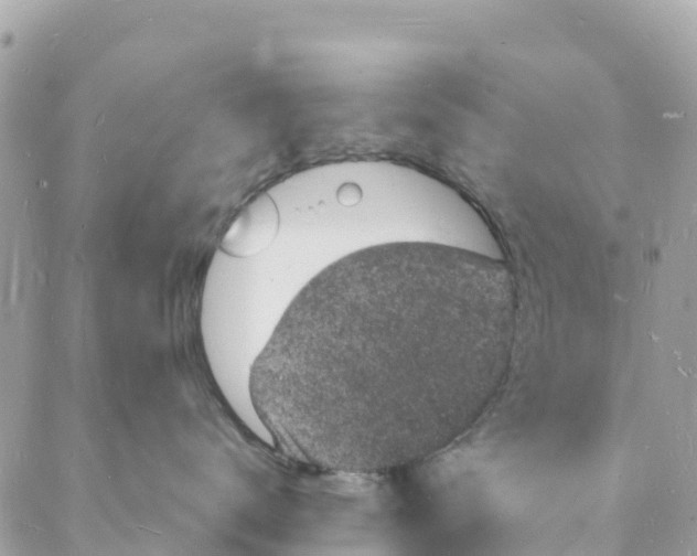 X0000088030672200706011351