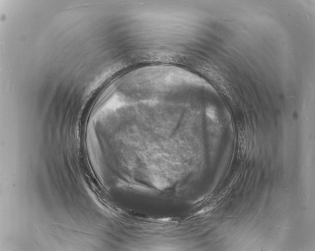 X0000088030674200706011350