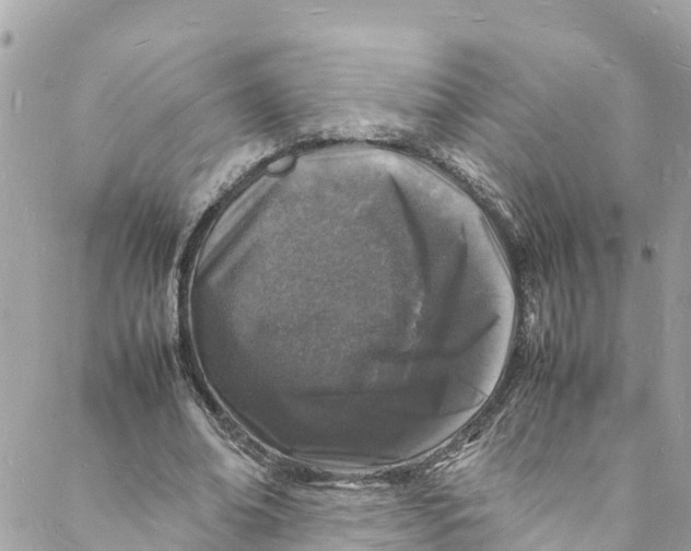 X0000088030678200706011350