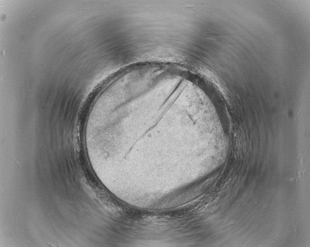 X0000088030680200706011350