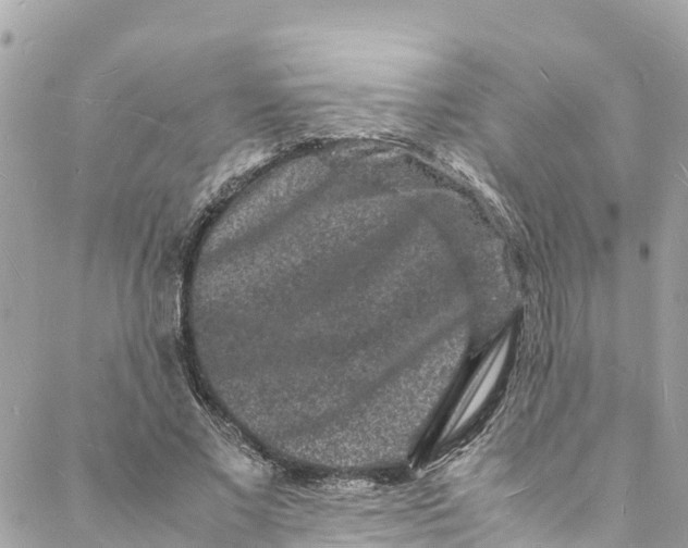 X0000088030685200706011350