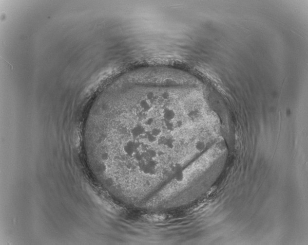 X0000088030687200706011350