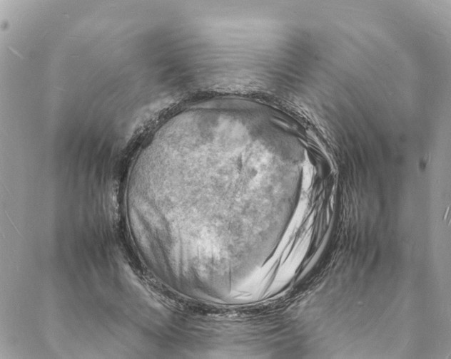 X0000088030688200706011350