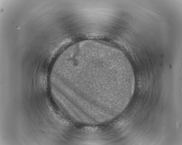 X0000088030690200706011350