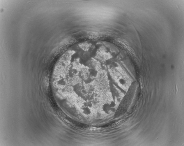 X0000088030691200706011350