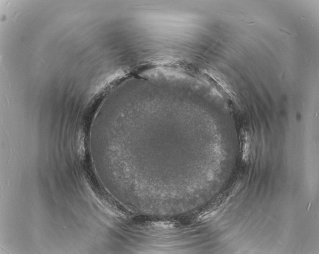 X0000088030692200706011350