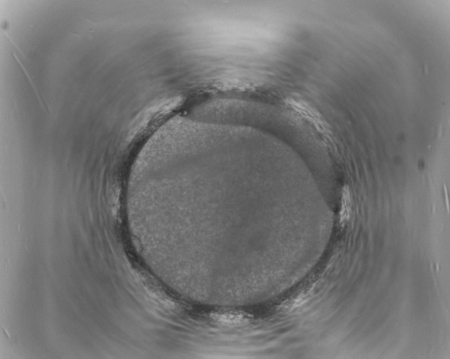 X0000088030693200706011350