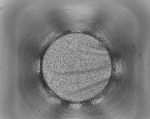 X0000088030694200706011350