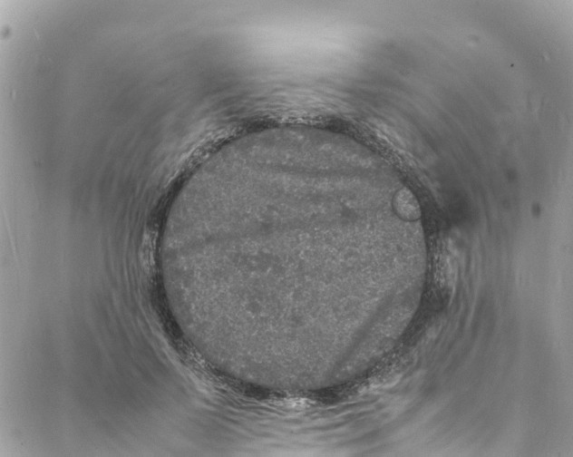 X0000088030695200706011350