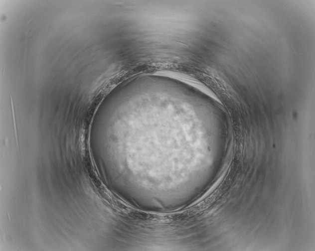 X0000088030696200706011350