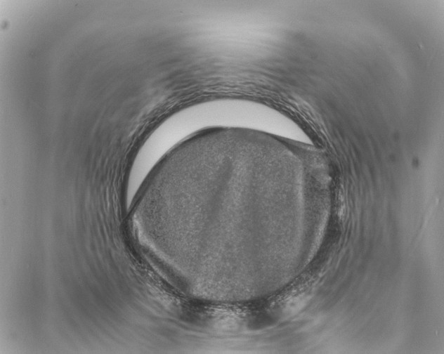 X0000088030697200706011350