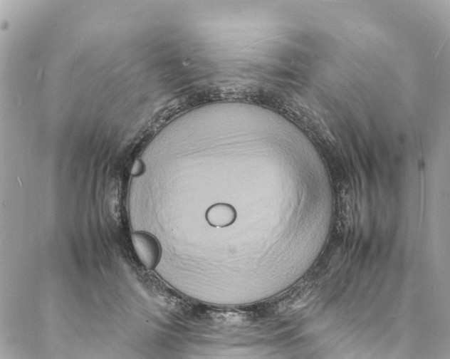 X0000088030698200706011350