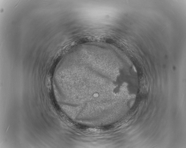 X0000088030699200706011350