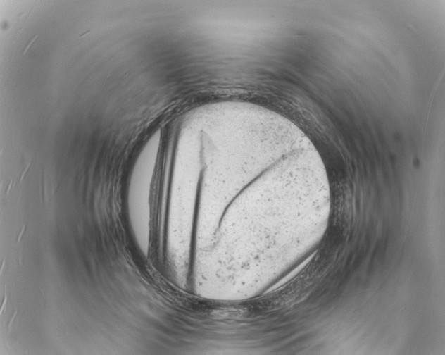 X0000088030700200706011350