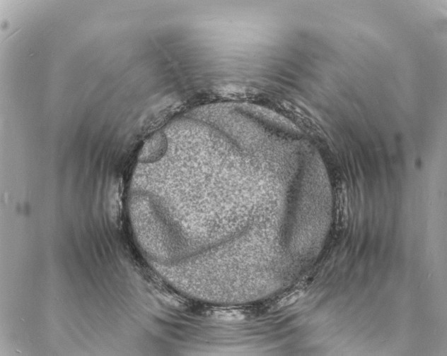 X0000088030702200706011350