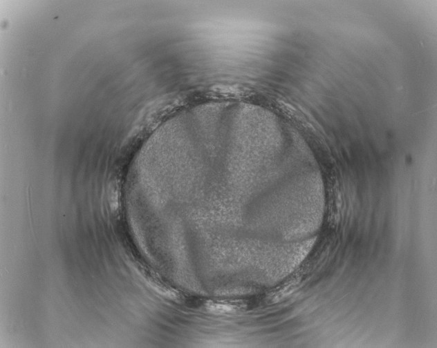 X0000088030706200706011350