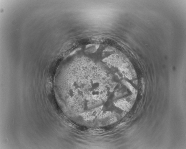 X0000088030707200706011350