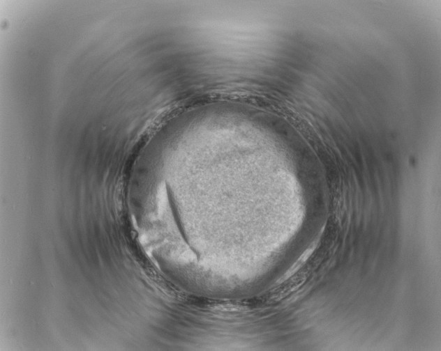 X0000088030708200706011350