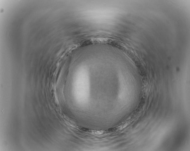 X0000088030709200706011350