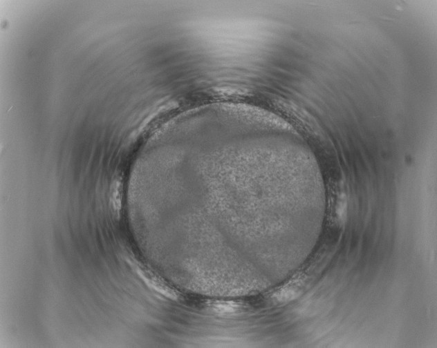 X0000088030710200706011350