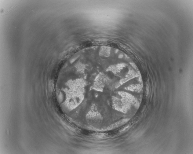 X0000088030711200706011350