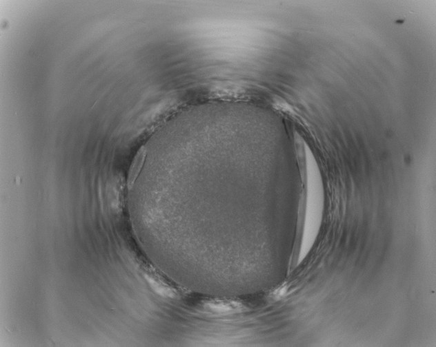 X0000088030712200706011349