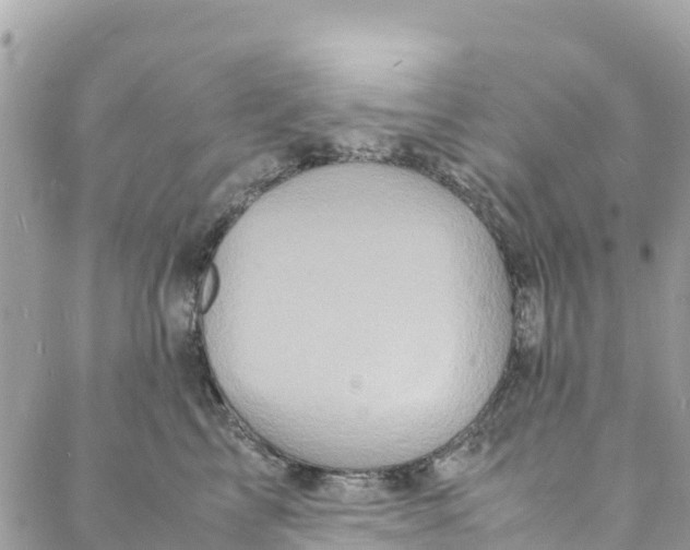 X0000088030713200706011349