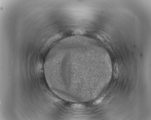 X0000088030714200706011349