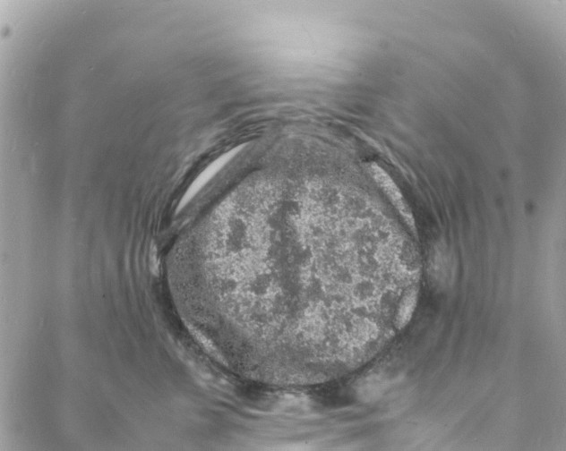 X0000088030715200706011349