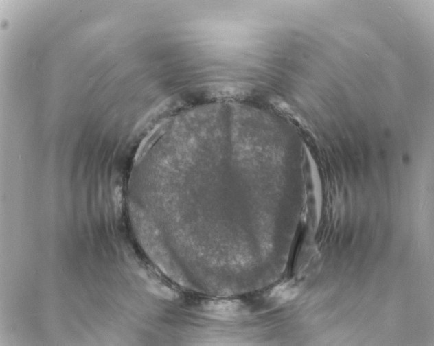 X0000088030716200706011349