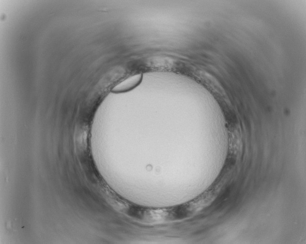 X0000088030717200706011349