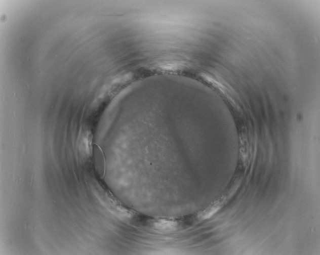 X0000088030718200706011349