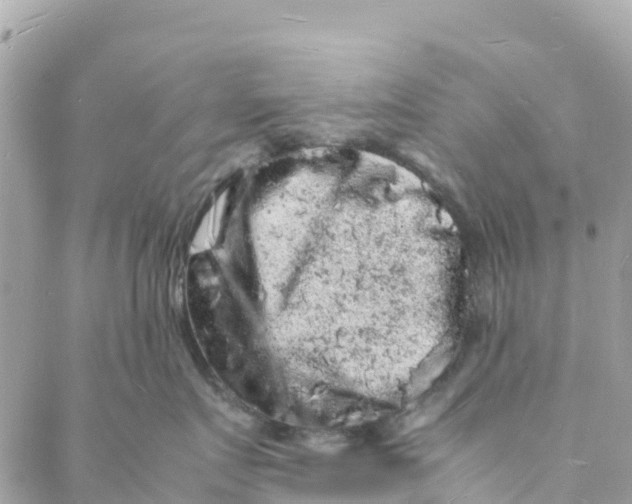 X0000088030719200706011349