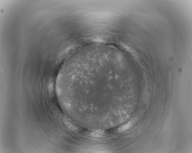 X0000088030720200706011349