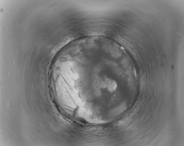 X0000088030721200706011349