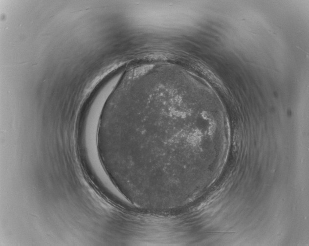 X0000088030722200706011349