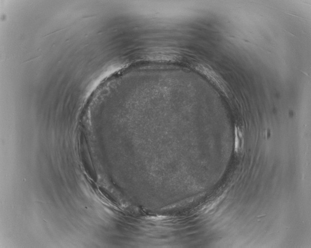 X0000088030723200706011349