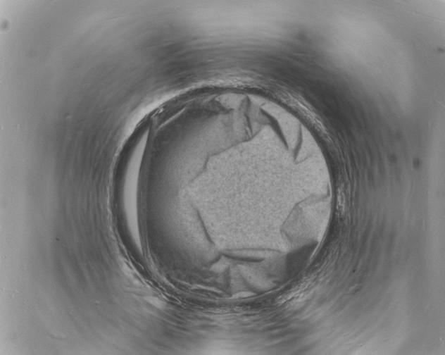 X0000088030724200706011349