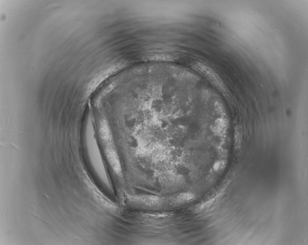 X0000088030725200706011349