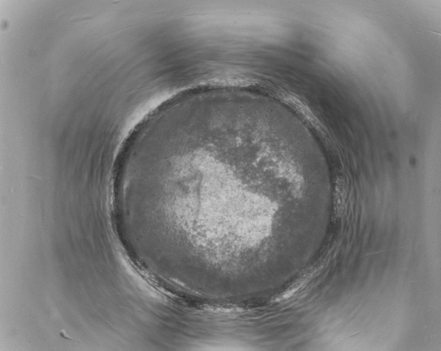 X0000088030726200706011349