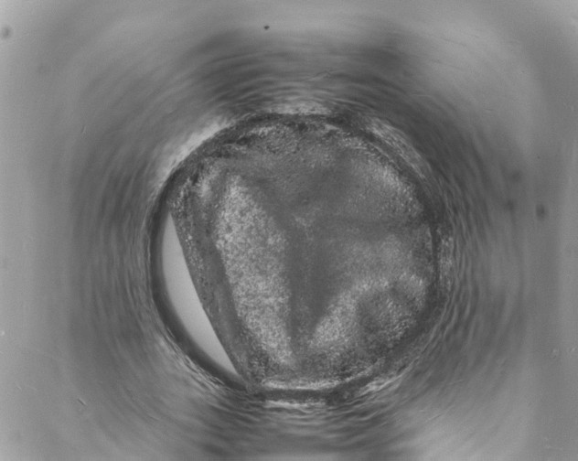 X0000088030727200706011349