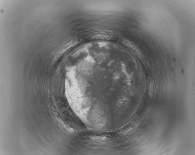 X0000088030729200706011349