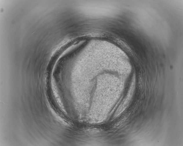 X0000088030730200706011349