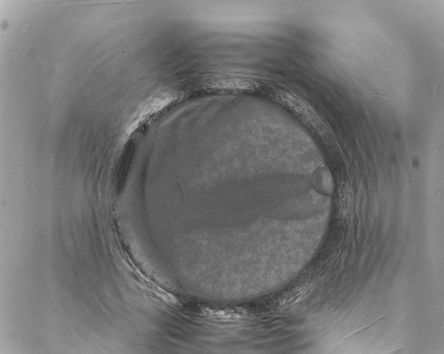 X0000088030731200706011349