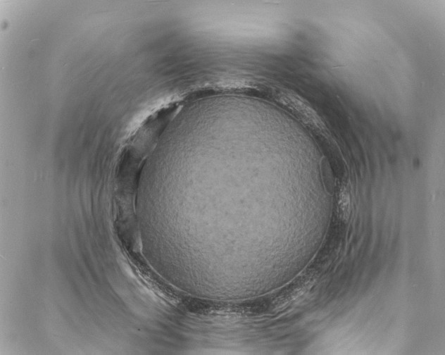 X0000088030732200706011349