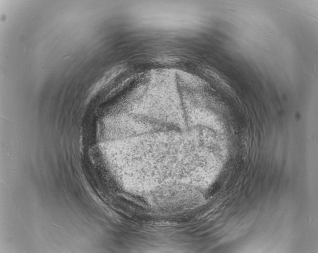 X0000088030734200706011349