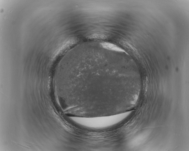 X0000088030735200706011349