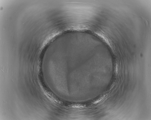 X0000088030736200706011349