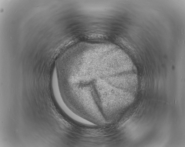 X0000088030737200706011349